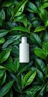 A white bottle of shampoo is surrounded by green leaves photo