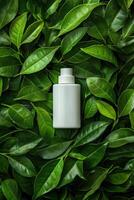 A white bottle of perfume surrounded by green leaves photo