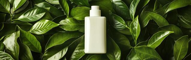 Blank cosmetic bottle mockup on green leaves background photo