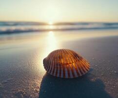 Seashell rests on sandy beach at sunset with ocean waves nearby photo