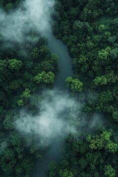 niebla mantas un lozano bosque paisaje con un devanado río abajo foto