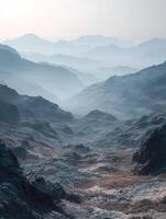 Gog in nature surrounded by tranquil fog at dawn in the mountains photo