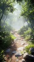 Pathway through foggy forest with lush greenery and rocks photo