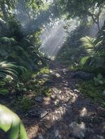 Exploring a misty path through lush green nature photo