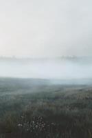 Fog rolling over a tranquil meadow at dawn in nature photo