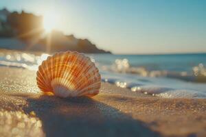 Shell on sandy beach at sunset with soft wave reflections photo