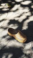 Clogs resting on textured pavement under soft natural light photo