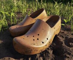 Clogs resting on soil surrounded by grass in natural setting photo