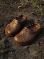 Clogs resting on the ground with a rustic appearance in nature photo