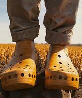 Clogs worn by a person in a field during sunset photo