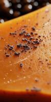 A close up of a piece of orange cheese photo