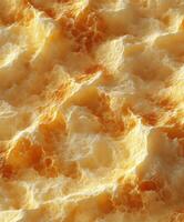 A close up of a piece of cheese photo