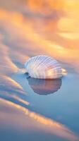 Seashell resting on calm water photo