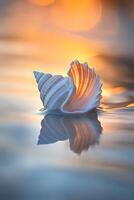 Delicate seashell on calm water photo
