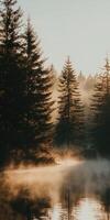 Morning mist over still waters photo