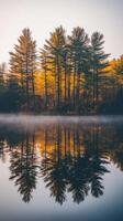 Tranquil autumn morning at the lake photo