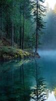 Tranquil forest lake at dawn photo