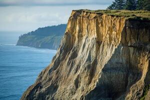 A cliff overlooking the ocean with trees on top photo