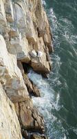 A bird is perched on a cliff near the ocean photo