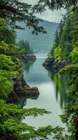 Serene view of a coastal inlet photo