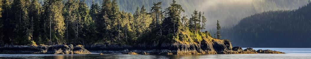 Calm waters near a forested island photo