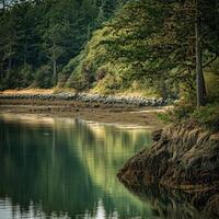 A boat is sitting on the water near a forest photo