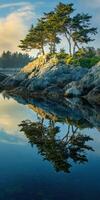 Beautiful reflection by the coast photo