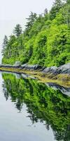 Tranquil coastal reflection in nature photo