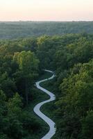 Scenic winding path through forest photo