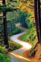 Winding road through autumn trees photo