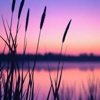 Tranquil sunset over the lake photo