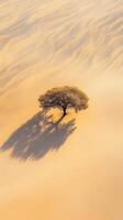 Lone tree in golden sands photo