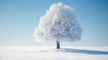 Frosty winter tree landscape photo
