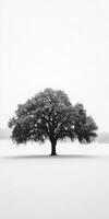 Majestic tree in serene landscape photo