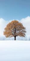 Winter tree with orange leaves photo