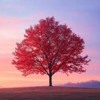A red tree stands alone on a hill photo
