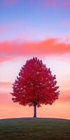Vibrant autumn sunset over tree photo
