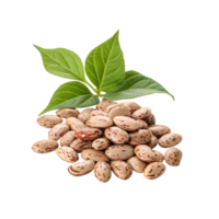 Pile of Pinto Beans with Leaves png