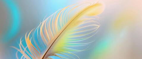Feather feather feather feather feather feather feather feather feather feather feather feather feather feather feather feather feather feather photo