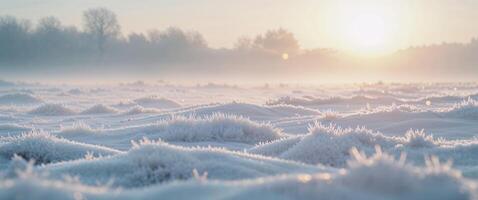 Frosty landscape with the sun rising over a field photo