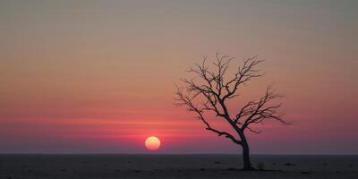 A lone tree stands in the middle of a desert at sunset photo