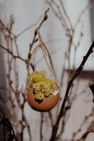 Tutorial How to make Easter table decoration with egg shells step by step instruction. Easter home decoration on wooden branch. Seasonal sustainable recycled decor photo