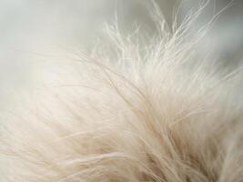 Texture Soft Strands Moment with Natural with Soft. photo