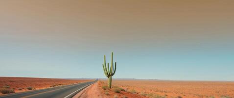 Cactus Landscape Along Scenic Road with Clear Sky and Space for Text or Graphics. photo