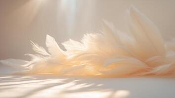 Soft Vignette Effect Experience with Warm with Soft. photo