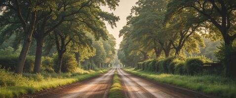 Serene Country Dirt Road Surrounded By Lush Greenery Ideal For Nature Lovers With Space For Text Overlay In Scenic Landscape photo