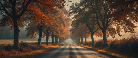 Countryside Road in Late Autumn with Trees and Shadows Creating a Vintage Atmosphere and Space for Text Overlay. photo