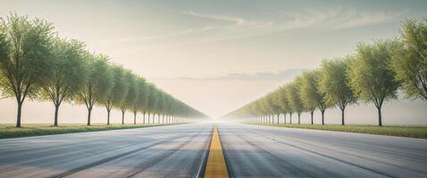 An empty road with trees lining it photo