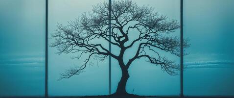 A tree is shown in front of a window photo