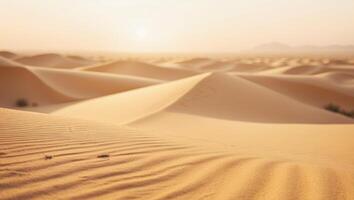 The desert is covered with sand dunes and the sun is setting photo